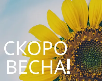 Скоро весна - красивые картинки (50 открыток)