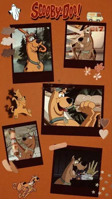 ОБОИ НА ТЕЛЕФОН СКУБИ ДУ | Scooby doo images, Cute cartoon wallpapers,  Cartoon wallpaper iphone