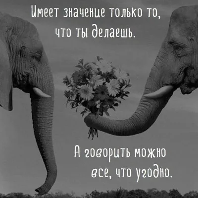 демотиваторы со смыслом / смешные картинки и другие приколы: комиксы, гиф  анимация, видео, лучший интеллектуальный юмор.