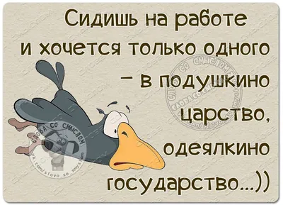 Вк :: интернет :: день рождения :: Смешные комиксы (веб-комиксы с юмором и  их переводы) / смешные картинки и другие приколы: комиксы, гиф анимация,  видео, лучший интеллектуальный юмор.