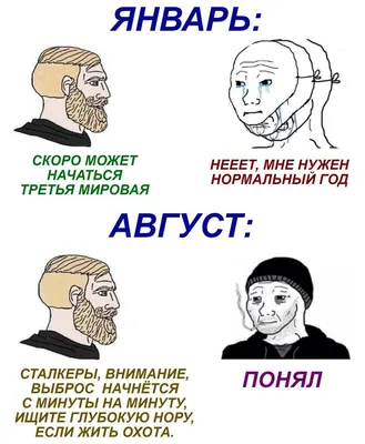 Картинки, Сталкер: подборки картинок, поздравительные картинки, смешные  картинки — Горячее, страница 3 | Пикабу