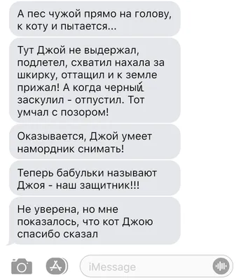 Доброе утро в 2023 г | Счастливые картинки, Новогодние открытки, Смешные  старушки