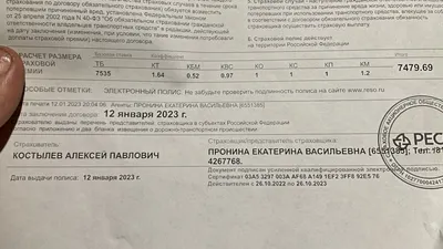 Страховка квартиры от затопления: опыт получения выплат