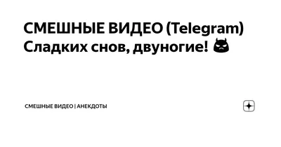 Лучшие телеграм каналы с мемами – ТОП смешных тг чатов и ботов про юмор |  Рейтинг Интернета | Дзен