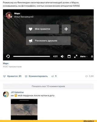 метель #цыклон #снегопады #простоужас #погодаводессе #нетсвета #снего... |  TikTok