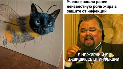 Смешной ученый-мультипликатор делает выбор Векторное изображение ©artenot  6672361