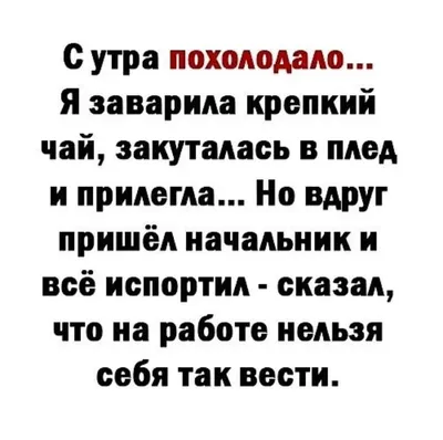 умора / смешные картинки и другие приколы: комиксы, гиф анимация, видео,  лучший интеллектуальный юмор.