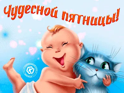 Чудесной пятницы | Смешные таблички, Картинки, Открытки