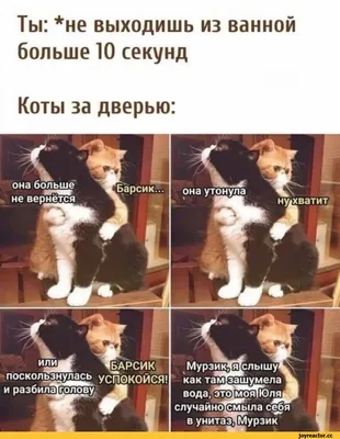 Ты: *не выходишь из ванной больше 10 секунд Коты за дверью: Барсик смыла  себя Мм зяМурзик ИЛ / ванная :: смешные картинки (фото приколы) :: коты ::  приколы для даунов / смешные