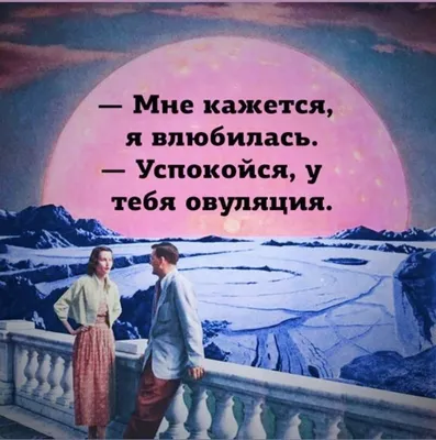 да успокойся, я 100 раз так делал - купить с доставкой по выгодным ценам в  интернет-магазине OZON (517658661)