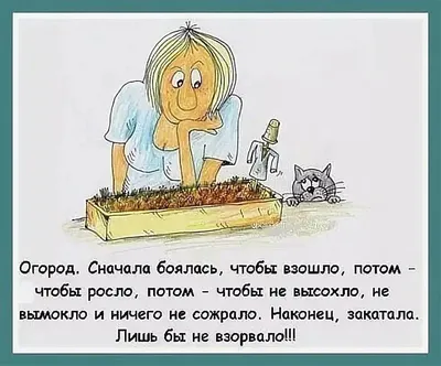 4 смешные истории со съемок советского фильма о мушкетерах | \"Хомо люденс\"  | Дзен