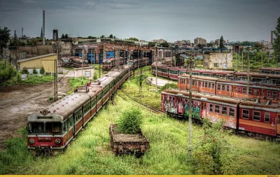 Лучший поезд в мире (14 фото) » Невседома - жизнь полна развлечений,  Прикольные картинки, Видео, Юмор, Фотографии, Фото, Эротика.  Развлекательный ресурс. Развлечение на каждый день