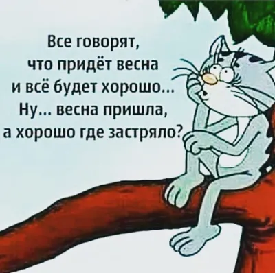 Пин от пользователя Светлана Хренова на доске Юмор, смешные  картинки,анекдоты. | Юмористические цитаты, Смешные высказывания, Мудрые  цитаты