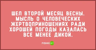 7 фактов о том, как коты встречают весну | Все для Вас Сергиев Посад