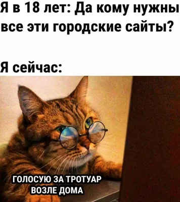 Товары для собак: 20 магазинов с ошейниками, адресниками и другими  аксессуарами