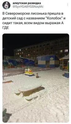 https://krasnoyarsk.dk.ru/news/237196239