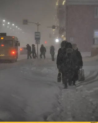 ЗИМА ПРИШЛА⬇️ ❄️2 ДЕКАБРЯ «ПРОГУЛКА ПО ПРОФЕССИИ.В РЕСТОРАНЕ» 11:00  ВОЗРАСТ: 5-8 лет СКОЛЬКО: 1900₽ ГДЕ: ресторан «Андерсон на Льва… | Instagram