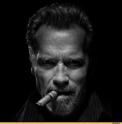 Арнольд Шварценеггер (Arnold Schwarzenegger) :: Актеры и Актрисы ::  Знаменитости / смешные картинки и другие приколы: комиксы, гиф анимация,  видео, лучший интеллектуальный юмор.