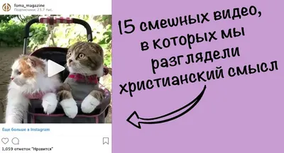 15 смешных видео, в которых мы разглядели христианский смысл - Православный  журнал «Фома»