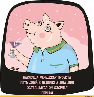 Поросята венгерского Mangalitsa, лежащего в грязи в диапазоне. Смешные  свиньи, играя на открытом воздухе Стоковое Изображение - изображение  насчитывающей тинно, ветчина: 192578159