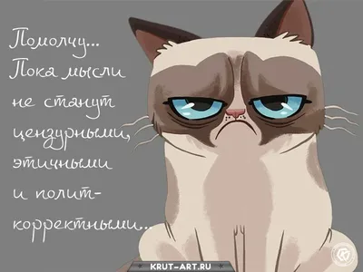 Портрет Двух Девочек-подростков, Стоящих В Природе С Смешные Позы,  Наслаждаясь Летние Каникулы Фотография, картинки, изображения и  сток-фотография без роялти. Image 41197251