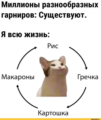 Смешные картинки и мемы с надписями из социальных сетей от 18 февраля |  Mixnews