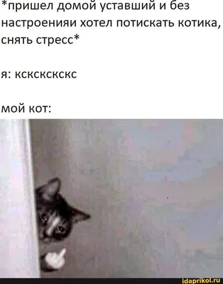 MemeClub Настольные игры для всей семьи что за мем