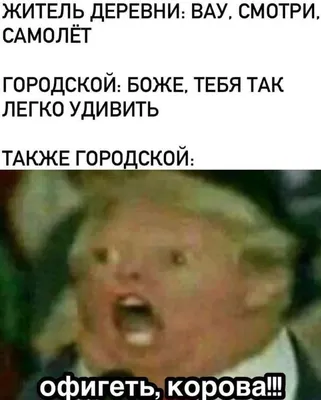 Самые смешные мемы недели: унитазофилия на России, предрассудок Зеленского  и Путин – Джокер - Новости России - 24 Канал