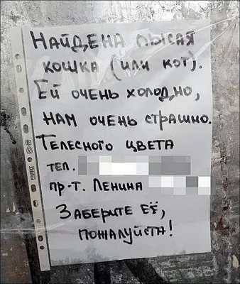 Смешные объявления, вывески и реклама - Смехотерапия - 25 августа -  43247353632 - Медиаплатформа МирТесен