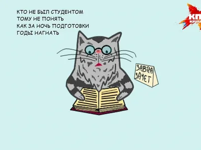 Мемы: что такое, как менялись и что дальше | РБК Тренды