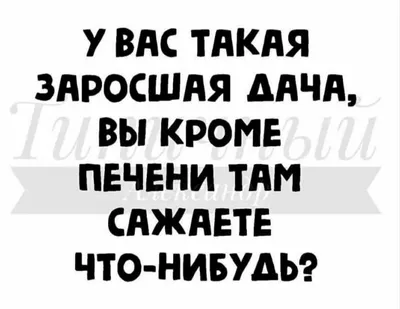 Пин от пользователя Юлиана на доске смешные картинки | Юмористические  цитаты, Самые смешные цитаты, Веселые мысли