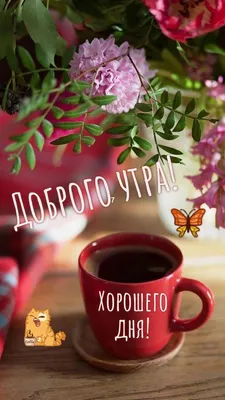 Прикольные картинки: \"Доброе Утро!\" (526 шт.)