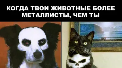 Комикс тушью смешные коты играют …» — создано в Шедевруме