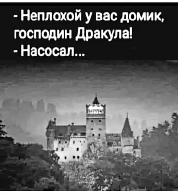 Анекдоты про Вовочку: 50+ самых смешных и любимых шуток