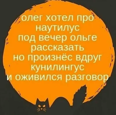 Картинки, Стишки-пирожки: подборки картинок, поздравительные картинки, смешные  картинки — Лучшее | Пикабу