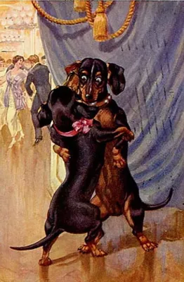 такса смешные картинки: 20 тыс изображений найдено в Яндекс.Картинках |  Dachshund art, Dachshund love, Merry christmas images