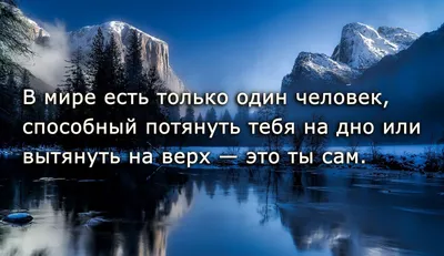 Веселые картинки про жизнь с надписями (43 фото) » Юмор, позитив и много смешных  картинок