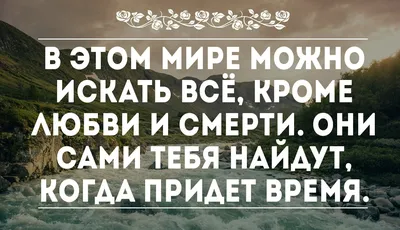 Цитаты Джейсона Стетхема: лучшие смешные фразы и 50 фото прикольных мемов  со смыслом – CultBear