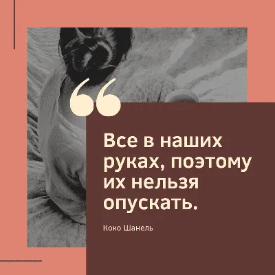 Лучшие цитаты и пословицы из Интернета в картинках - Canva