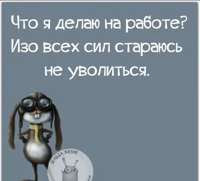 Позитив, смешные животные, картинки, статусы - Гениальное объявление, давно  бы решило проблему общественного транспорта! | Facebook