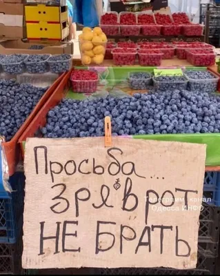 Смешные вывески, объявления и реклама