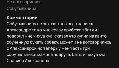 Рубашка с надписью \"папа собутыльник\" | Премиум векторы