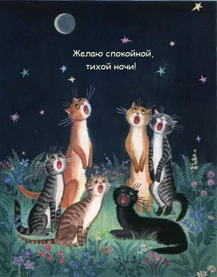 Всем Доброго вечера и Спокойной ночи! Новые картинки Спокойной ночи!  Сладких снов! - Пожелание Спокойной ночи в картинках … | Ночь, Спокойной  ночи, Смешные открытки