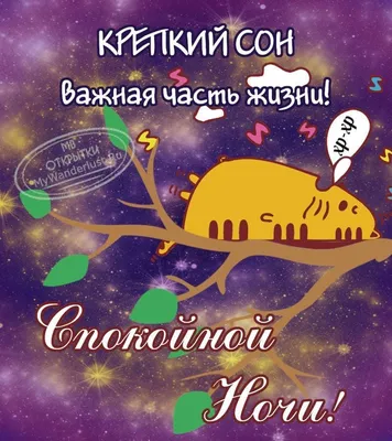 Прикольные картинки \"Спокойной ночи!\" (186 шт.)