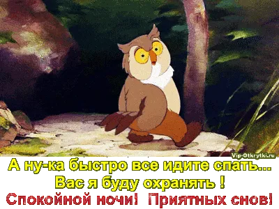 Прикольные гифки спокойной ночи для скачивания бесплатно (40 картинок) |  Смешные открытки, Ночь, Спокойной ночи