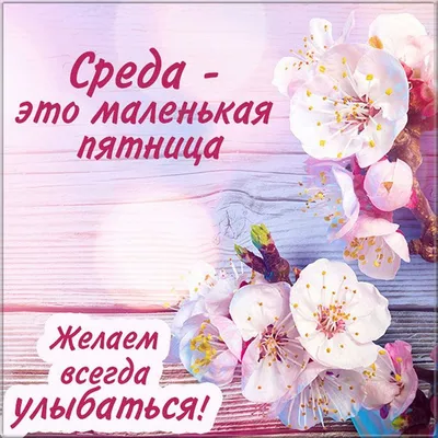 🌺 Со СРЕДОЙ! Осталось два дня продержаться... ⬇  https://supersolnishco.net/60905-so-sredoj-sreda-pozhelaniya-prikoly-dobroe-utro-sreda-kartinki-smeshnye-prikolnye.html  | ВКонтакте