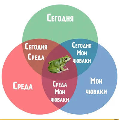 Симпатичное жирное животное Сурок, сидящее в траве с природой скалистой  горной среды обитания, Альп, Италия. Сцена дикой природы. Смешной образ,  деталь сурка. стоковое фото ©OndrejProsicky 310364244