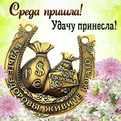 Среда смешные картинки