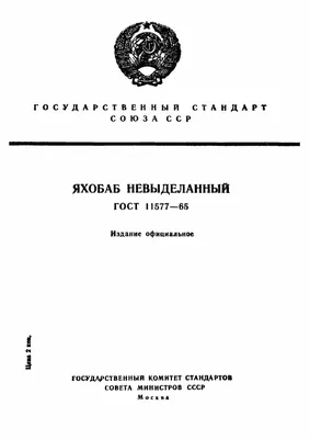 Смешные Странные Летние Каракули С Милыми Животными И Едой — стоковая  векторная графика и другие изображения на тему Бессмысленный рисунок -  iStock