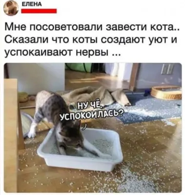 Стресс смешные картинки